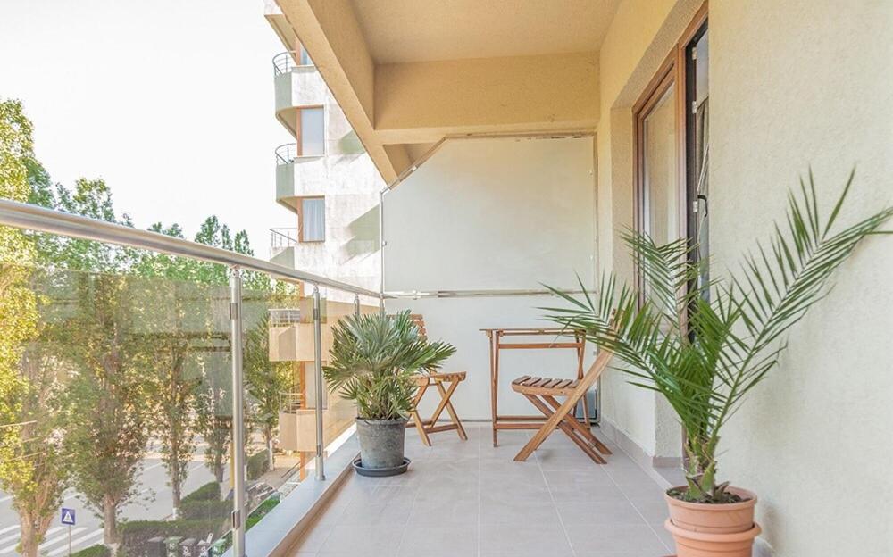 Wild Africa Apartament ママイア エクステリア 写真